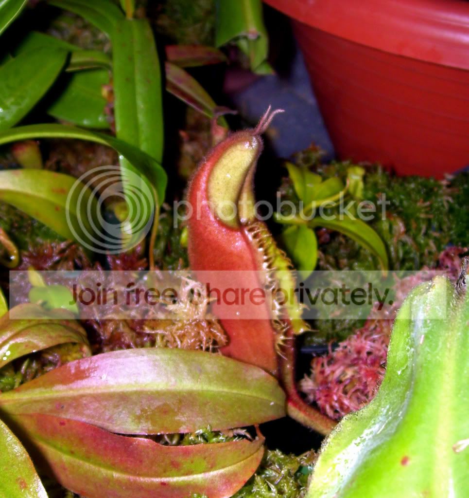 100_5855.jpg