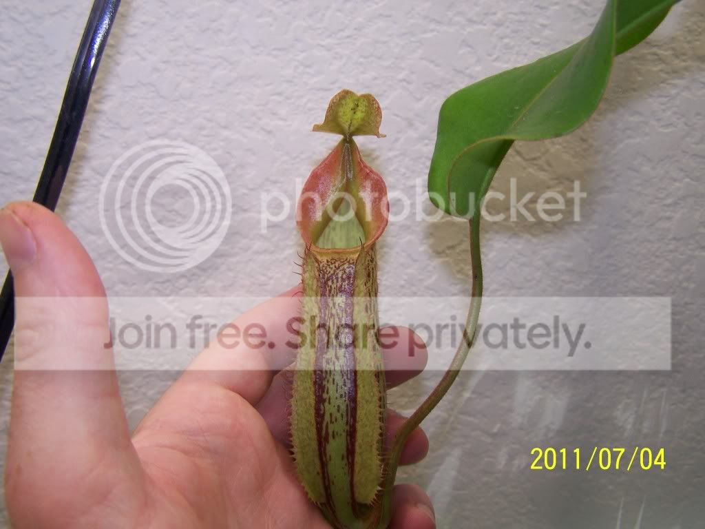 100_4759.jpg