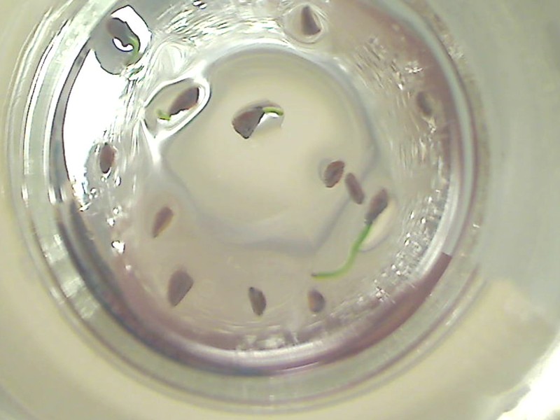 8514903850_7d8be87940_c.jpg