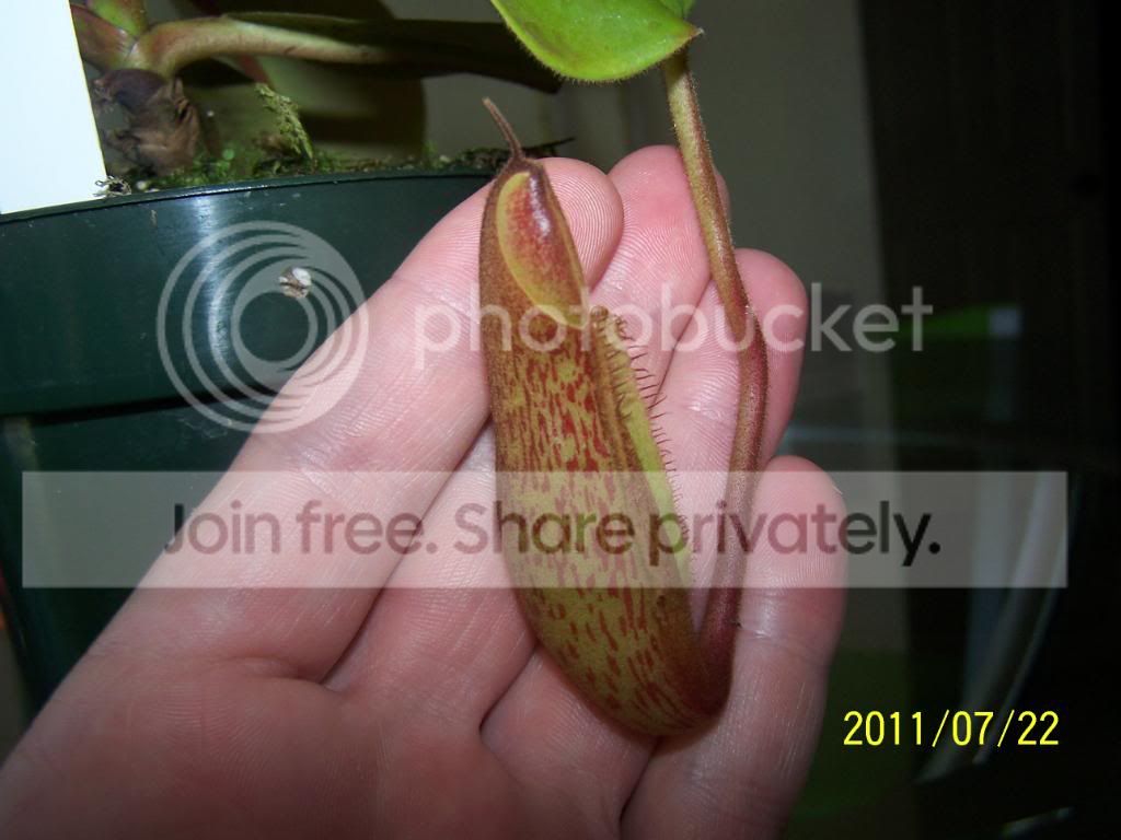 100_4895.jpg
