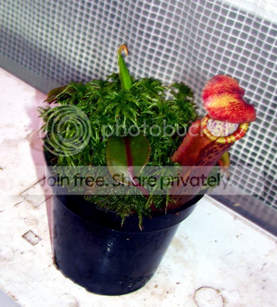 100_6605.jpg