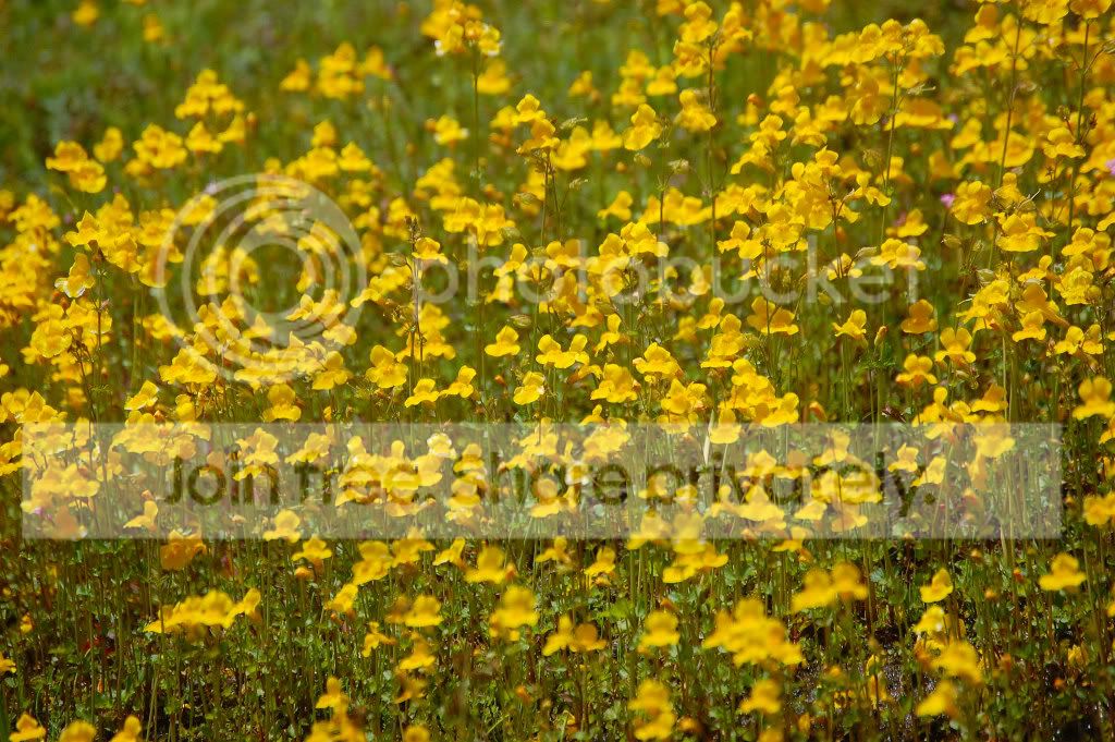DSC_01260126_2.jpg