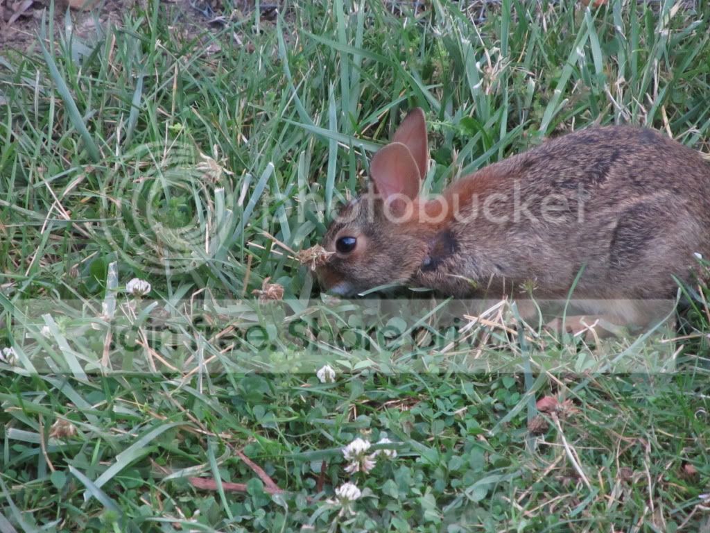 IMG_4627.jpg