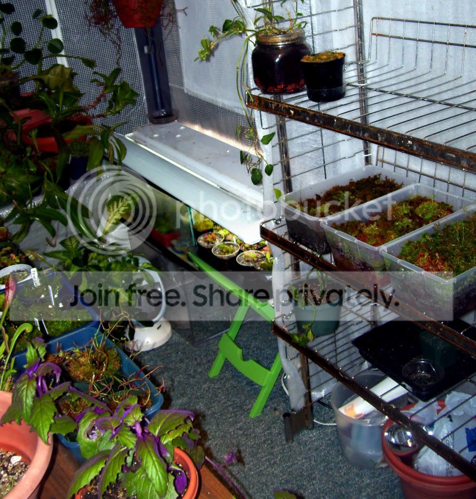 100_5822.jpg