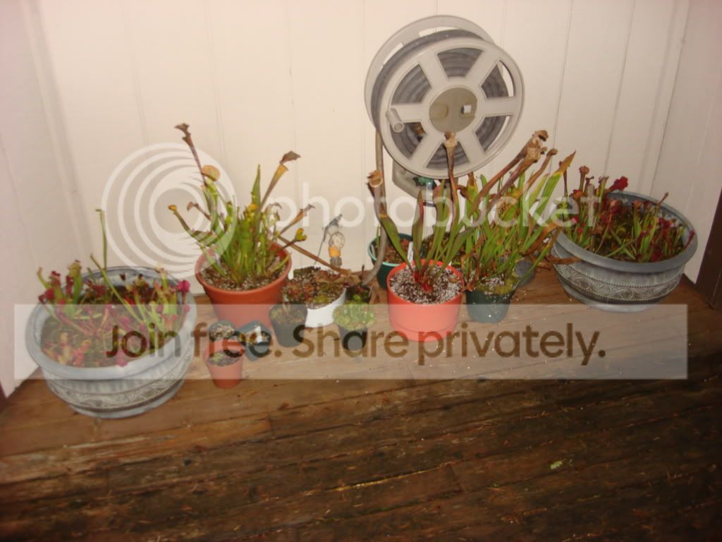 CPs12-1-09003.jpg