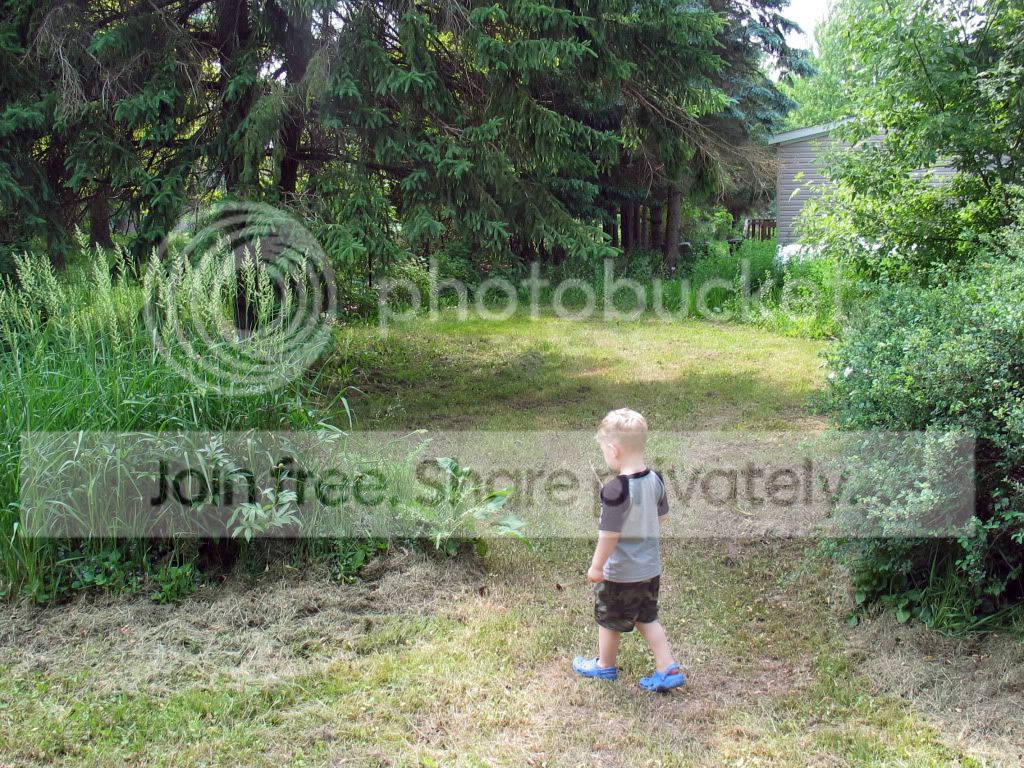 IMG_2099.jpg