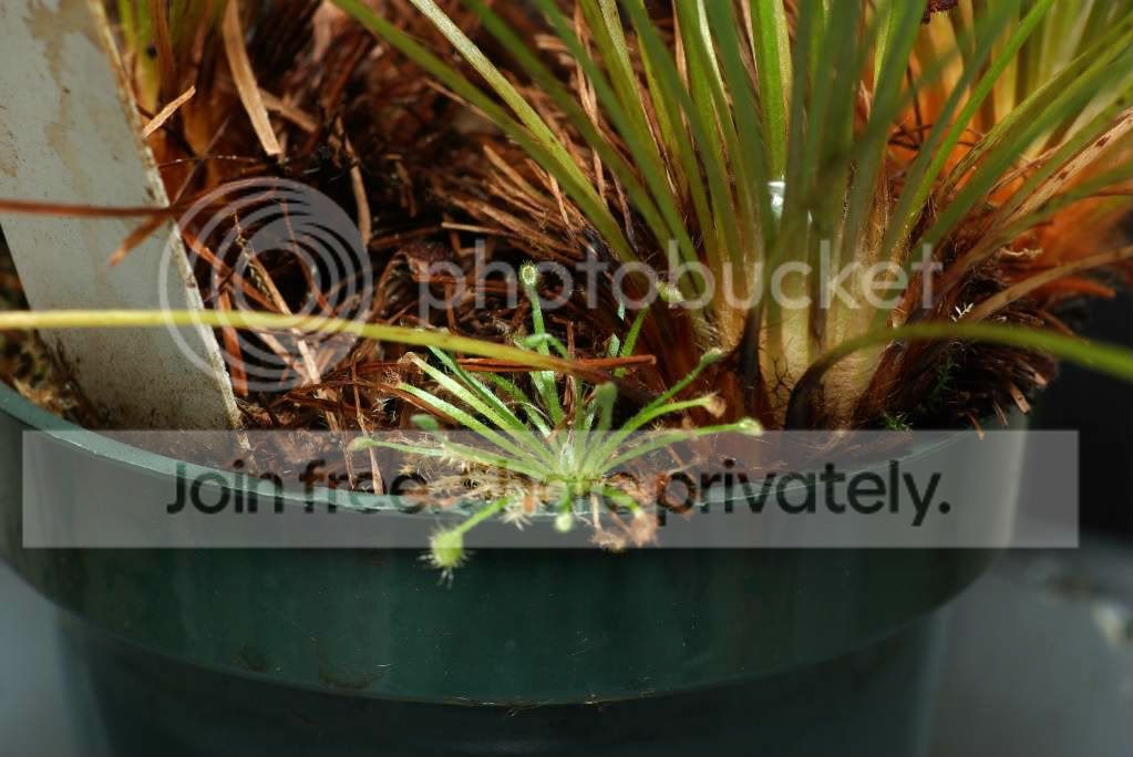 IMGP3629.jpg
