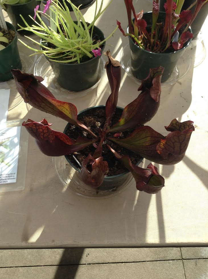QLdRBsG.jpg
