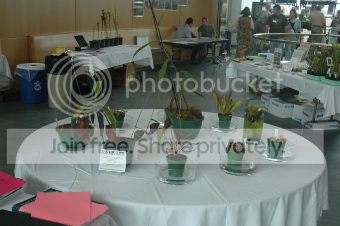 2006-6-5_ICPS_Meeting_294.jpg
