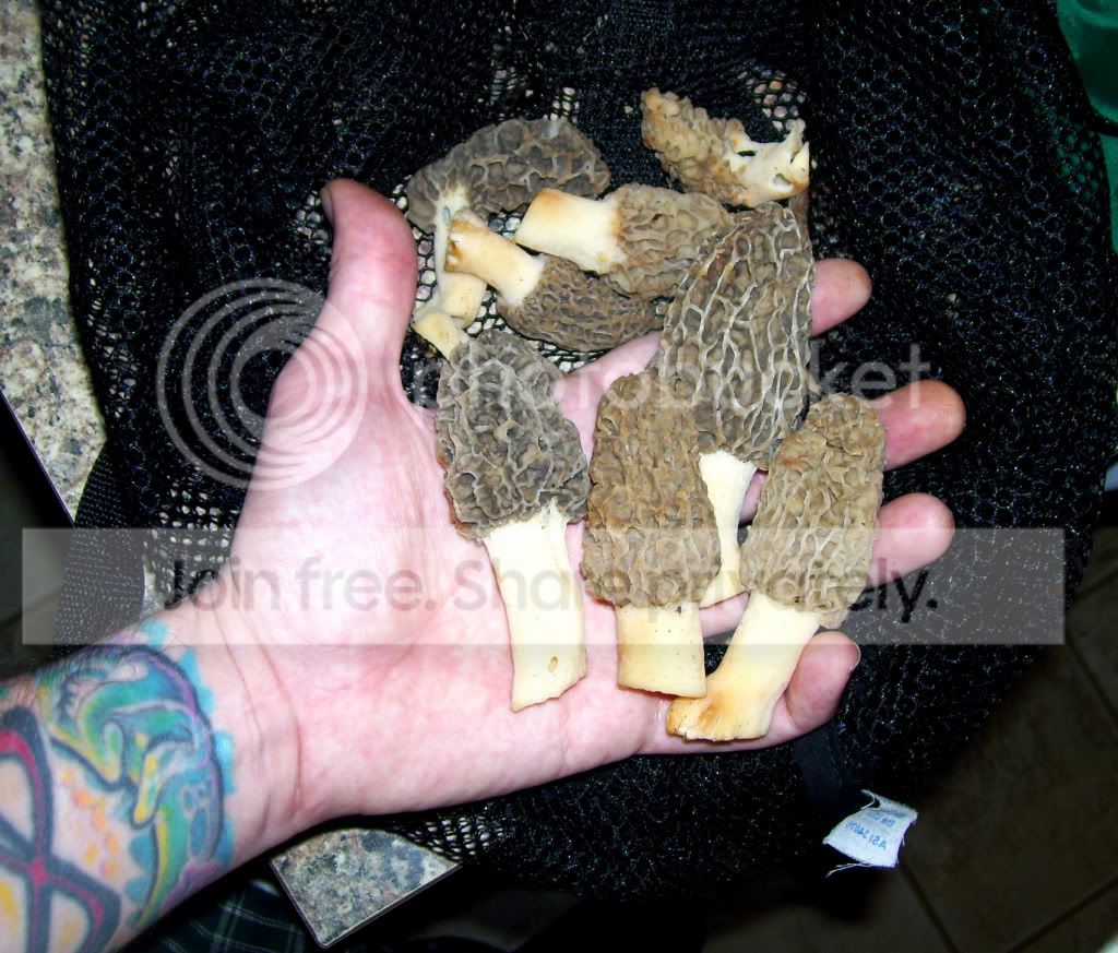 100_8364.jpg