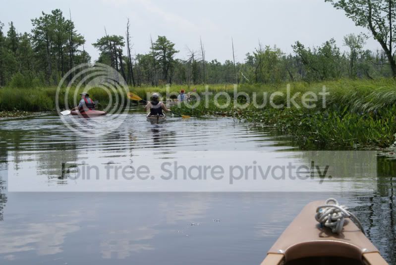 Pine-Barrens-2010-035.jpg