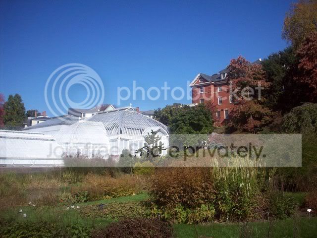 100_1824.jpg