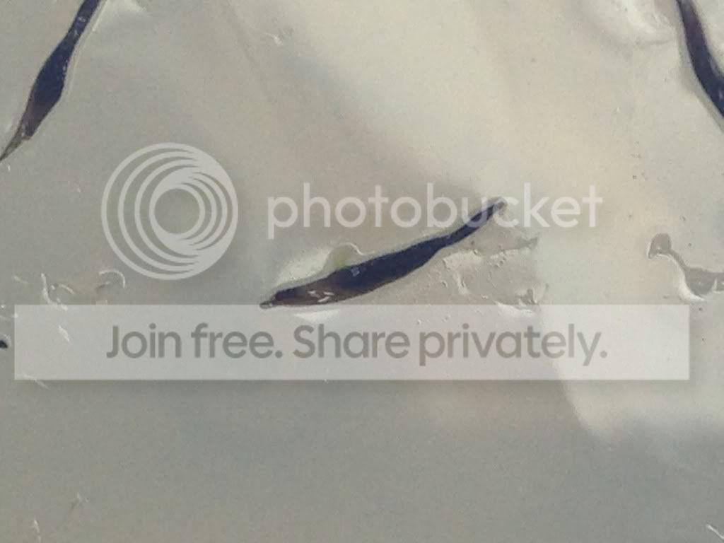 image_zpse1c48950.jpg