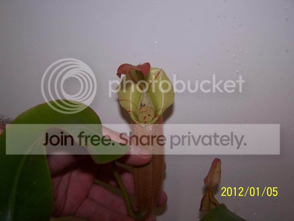 100_5731.jpg