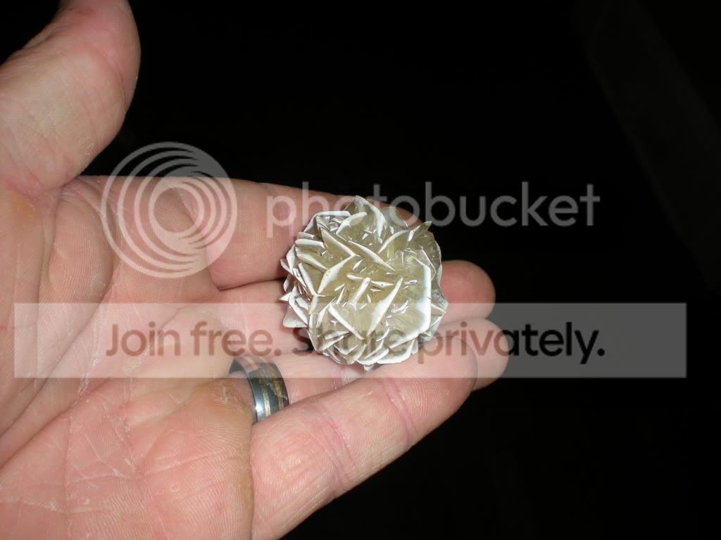 DSCN7106.jpg