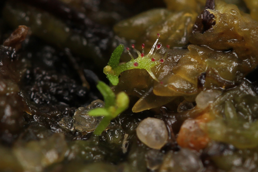 8025888793_c5aa6facfa_o.jpg