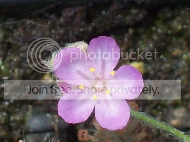 Picture002-26.jpg