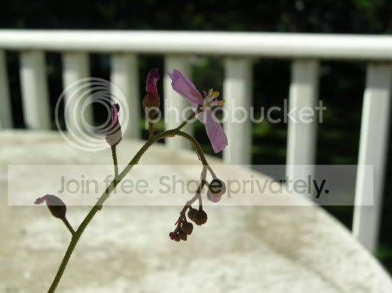 dscn2077.jpg