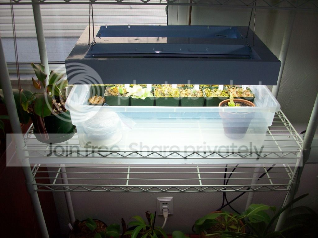 100_3939.jpg