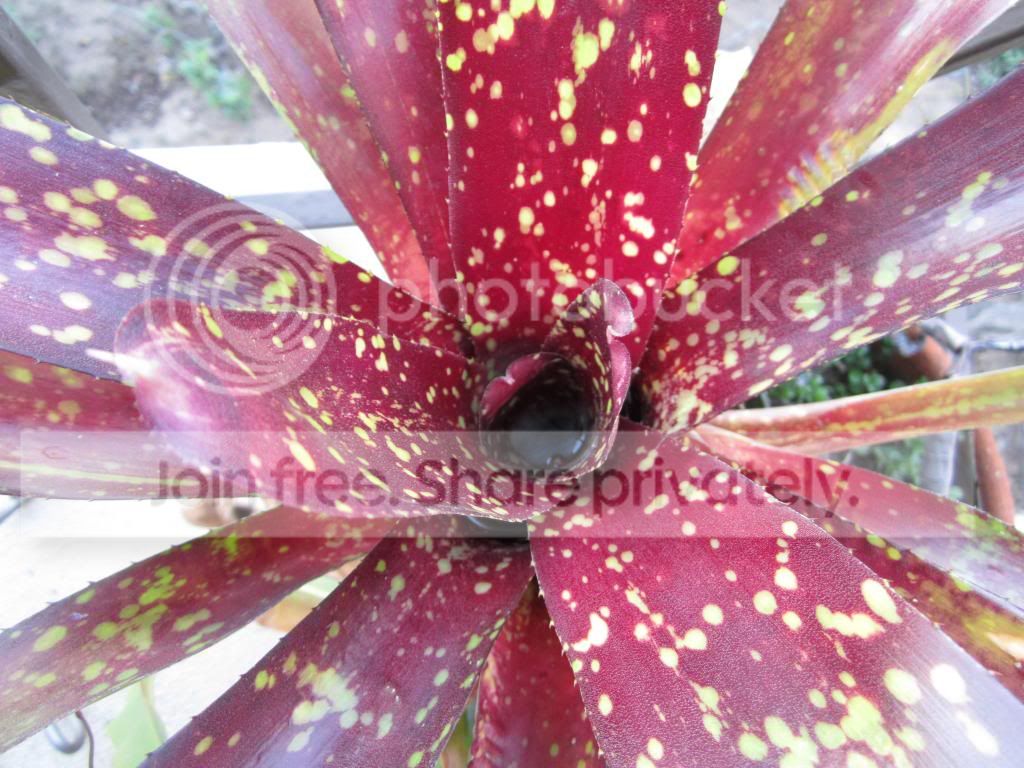 IMG_1758_zps05fc8ca5.jpg