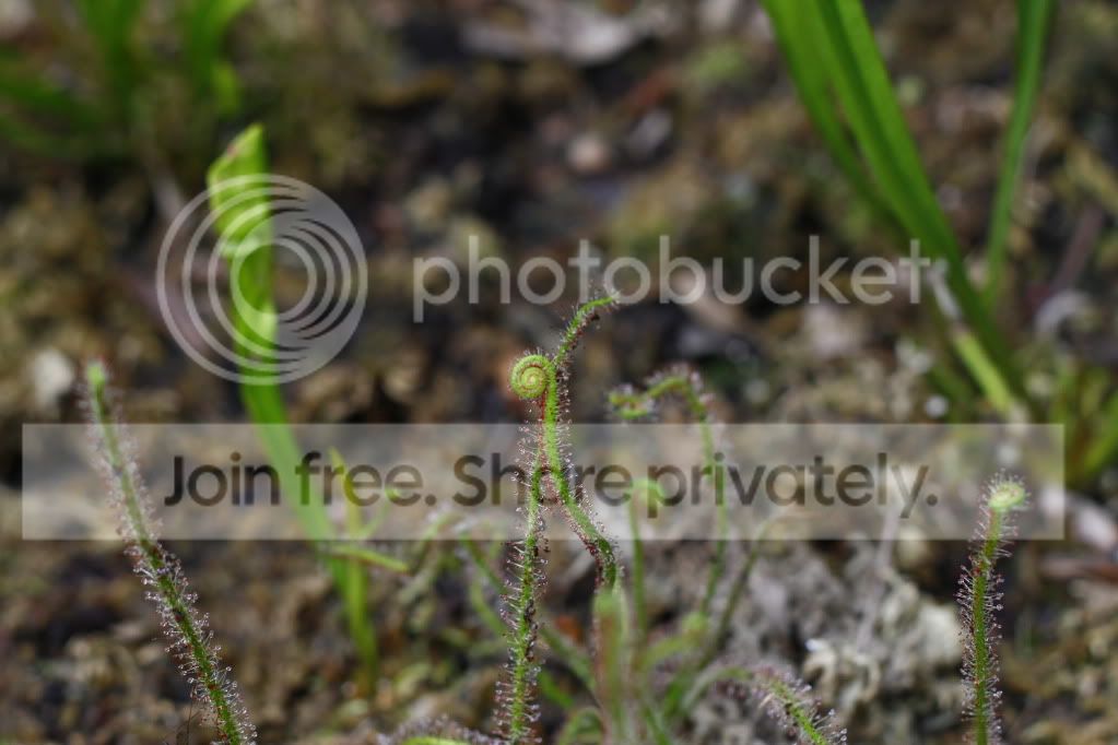 _MG_4607.jpg
