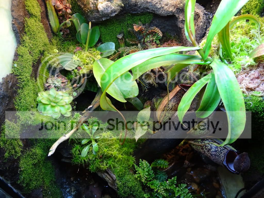 big_vivarium02.jpg