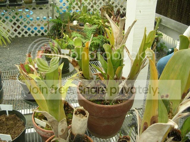 DSCN4359.jpg