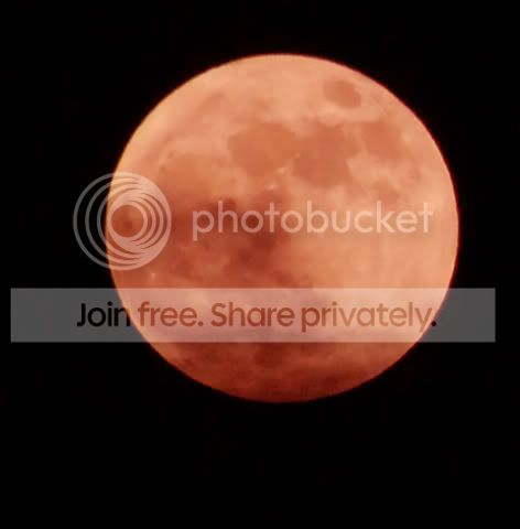 moon-4.jpg