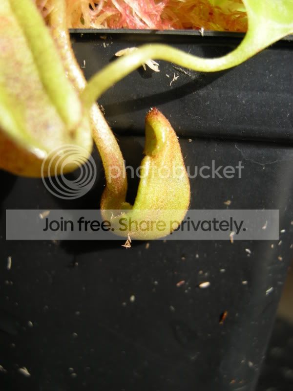 DSCN6370.jpg