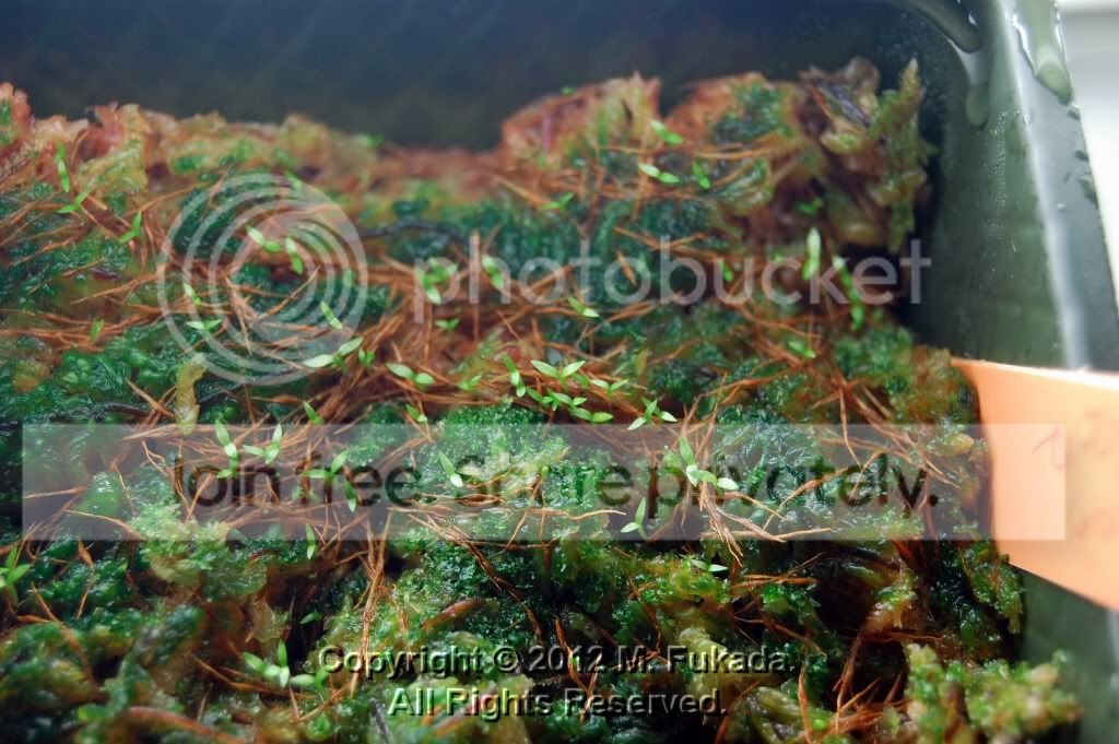 DSC_00030001_25_hf.jpg