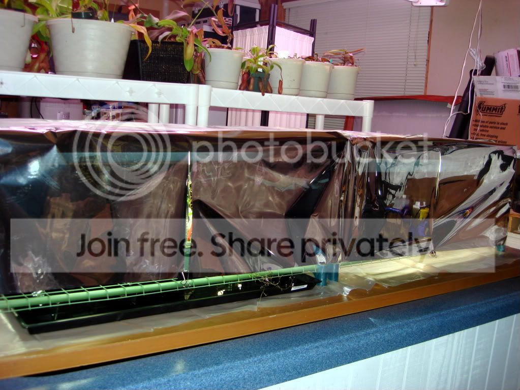 CPs10-11-09001.jpg