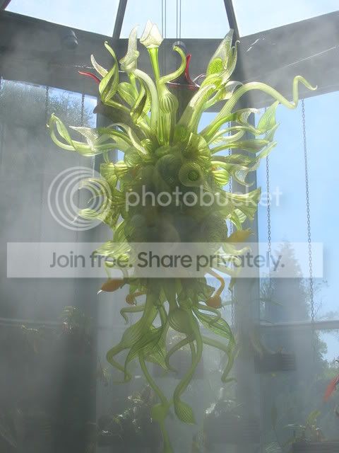 DSCN0369.jpg