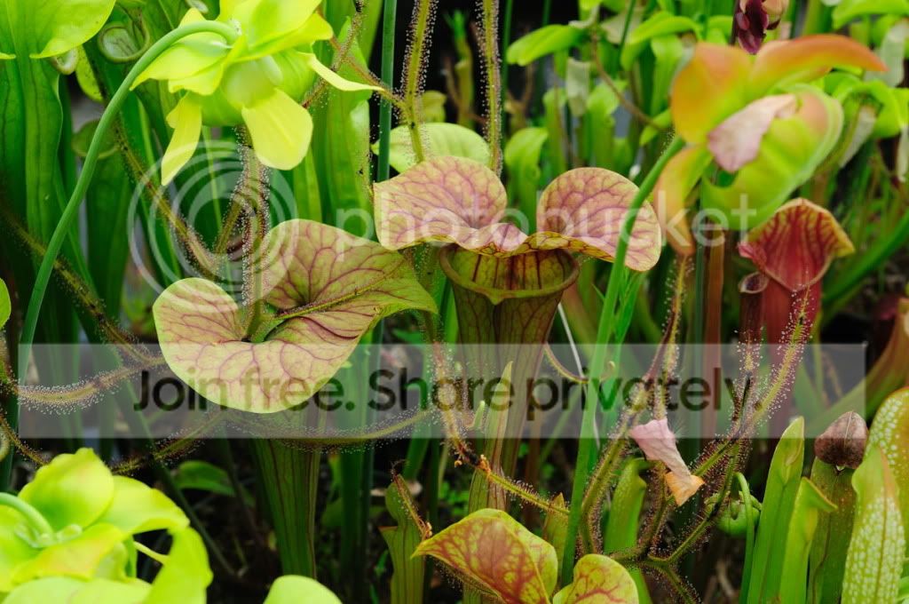 DSC_1834.jpg
