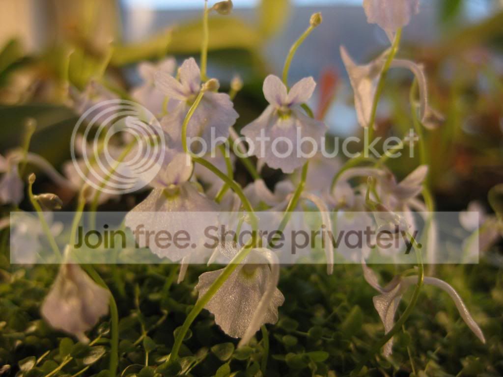 IMG_3876_zps428da931.jpg
