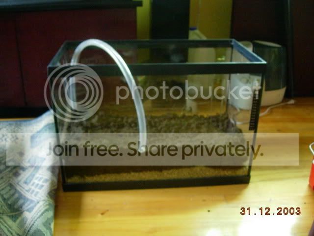 DSCN3405.jpg