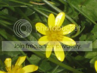 Spring2009029.jpg