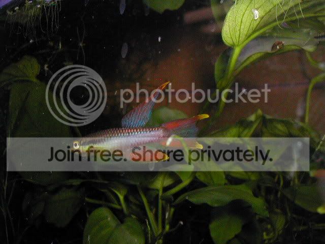 DSCN0536.jpg