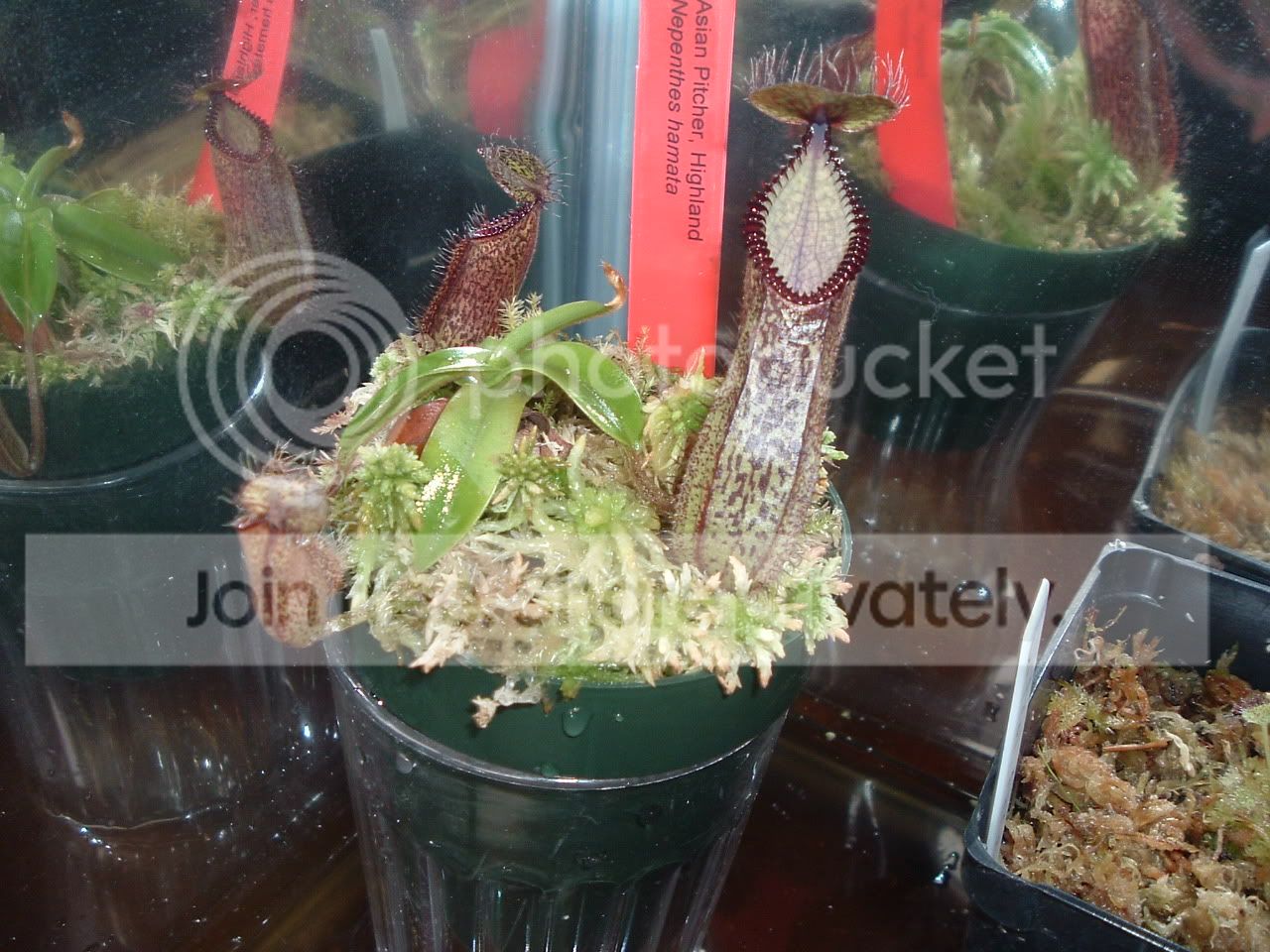 DSCF2481.jpg