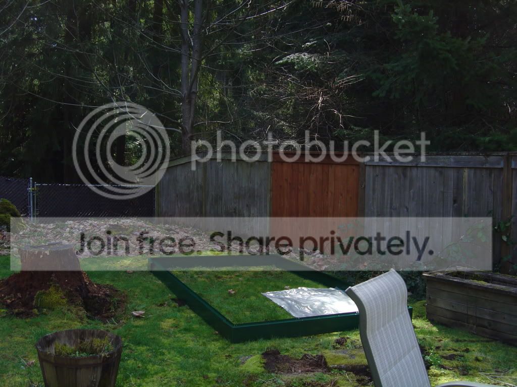 greenhouseproject003.jpg