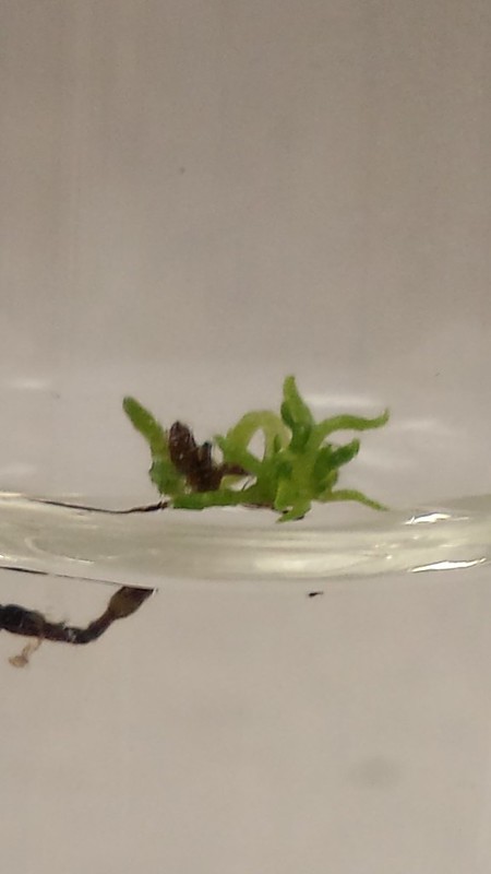 10389386945_e57dbdbf64_c.jpg