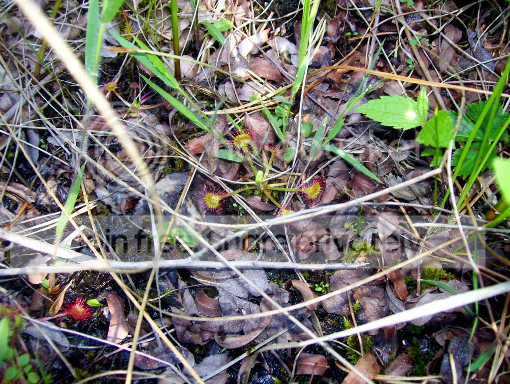 100_4069.jpg
