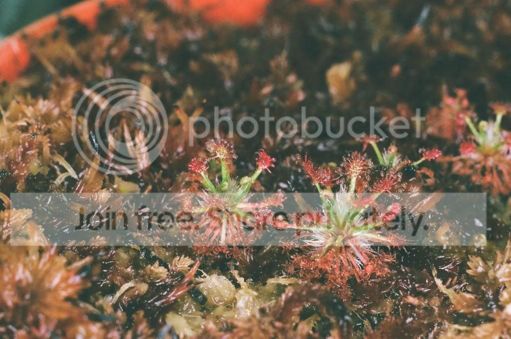 01220007copy.jpg