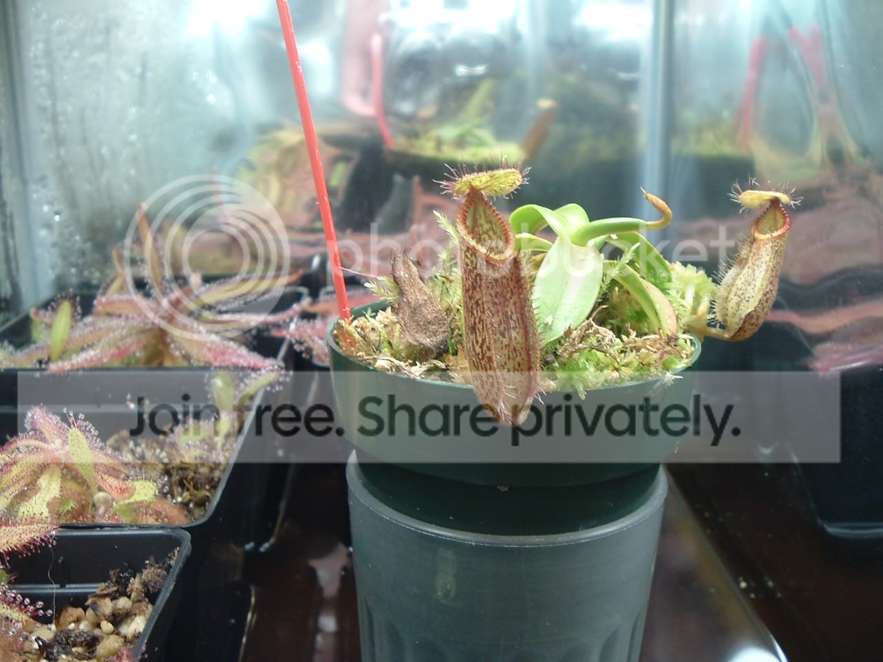 DSCF2116.jpg