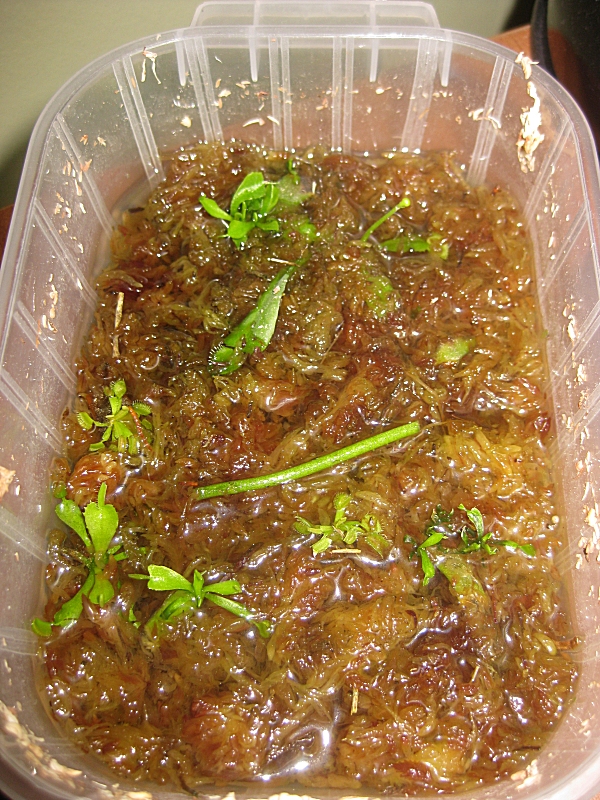 20110828.jpg