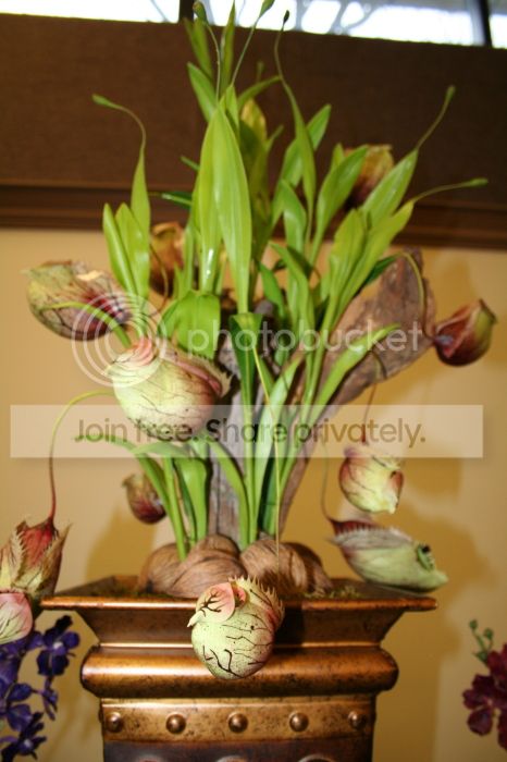 IMG_8957_zpsbc1c940a.jpg