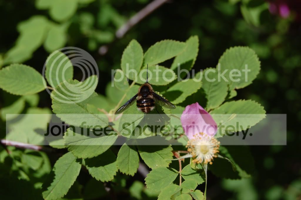 DSC_00770077.jpg