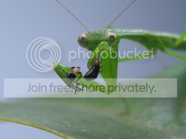 IMG_1140.jpg
