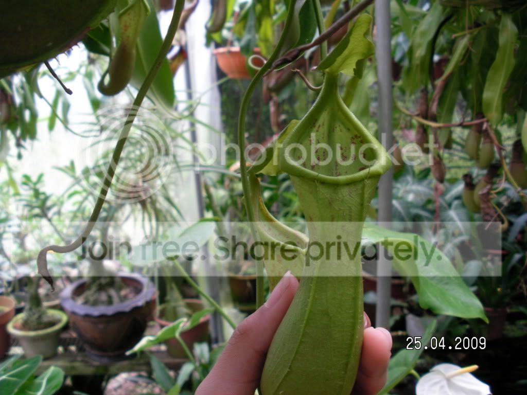 RIMG0149.jpg