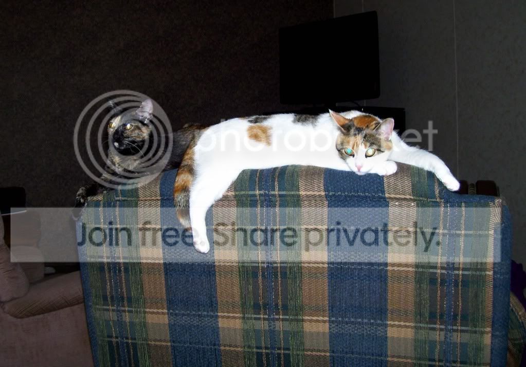 100_6936.jpg