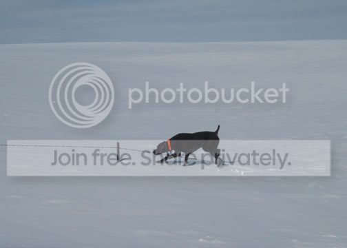 IMG_1155.jpg